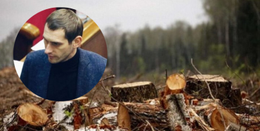 Рівненський нардеп допоміг притягнути до відповідальності 17 посадовців, які накрали лісу на 56 тисяч